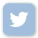 Tweet icon